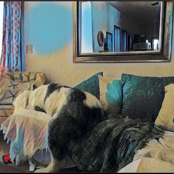 Meet your Posher, Ruth - Picture 3 of 3